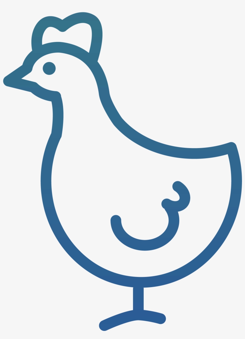 Poultry Icon At Collection Of Poultry Icon Free For Personal Use 3919