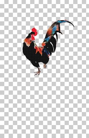 310x479 Poultry Icon Png Images, Poultry Icon Clipart Free Download