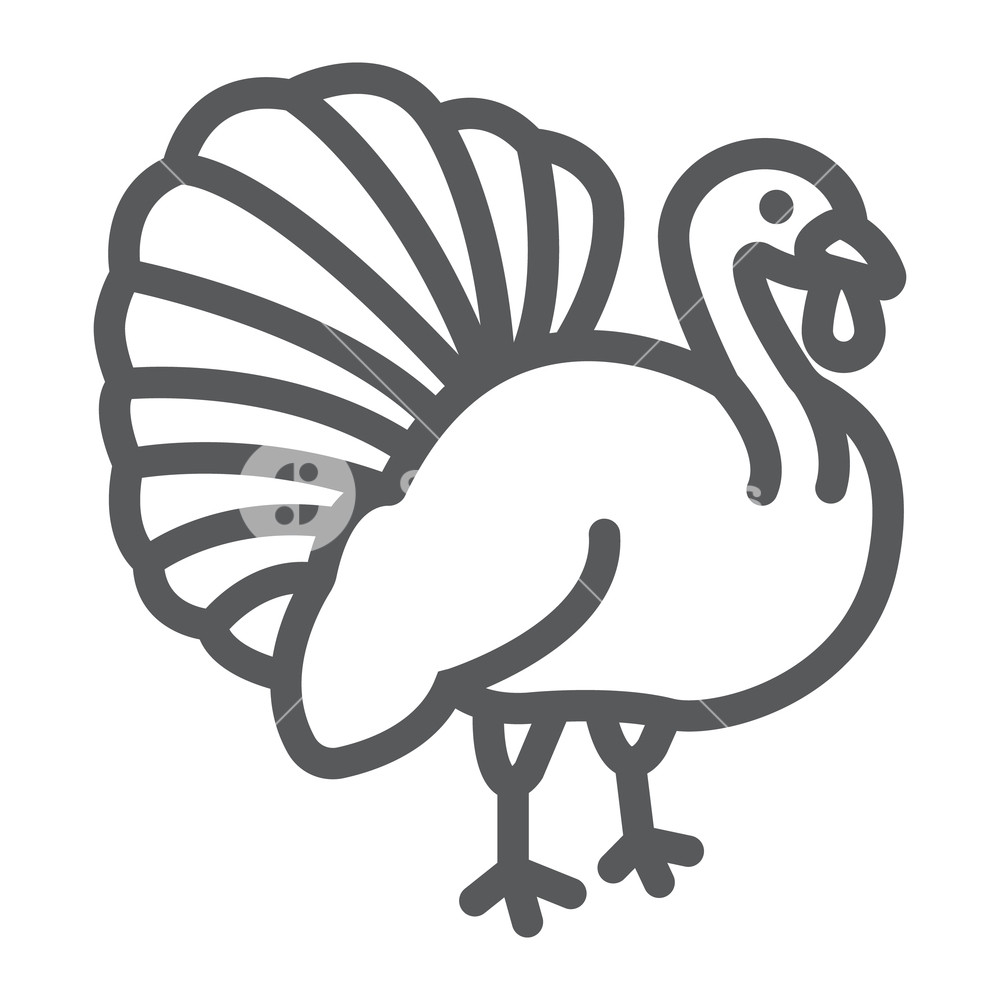 1000x1000 Turkey Bird Line Icon, Animal And Farm, Poultry Sign, Vector