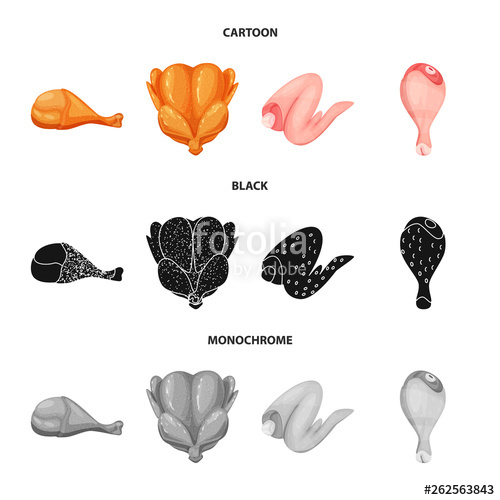 500x500 Vector Illustration Of Product And Poultry Icon Set Of Product