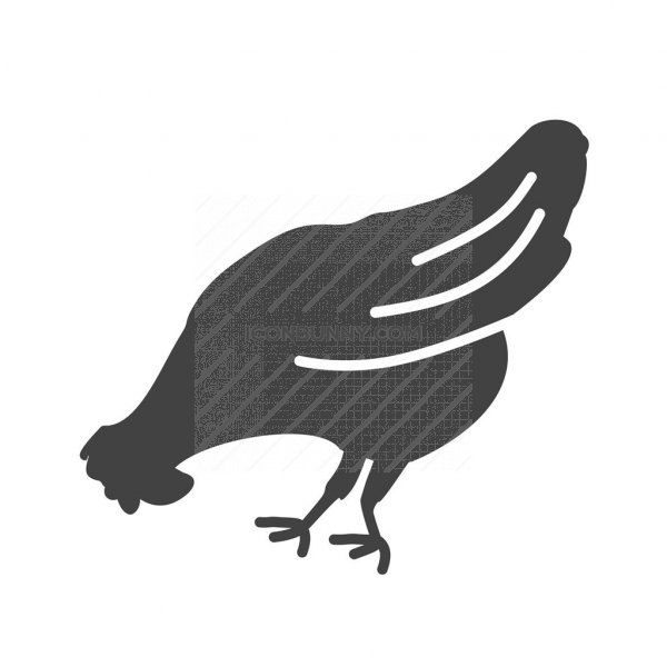600x600 Chicken Glyph Icon