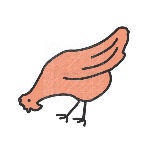 600x600 Chicken Line Filled Icon