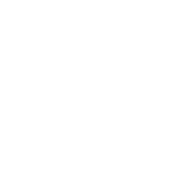 256x256 White Powder Icon