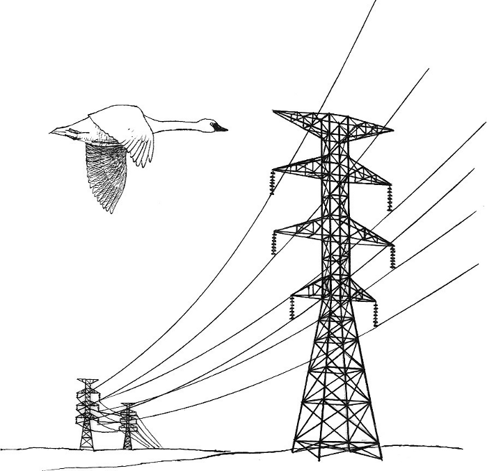 700x677 Transmission Tower,tower,electricity,line Art,overhead Power Line