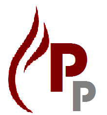 220x237 Pp Icon Poddar Professional Solutions Pvt Ltd