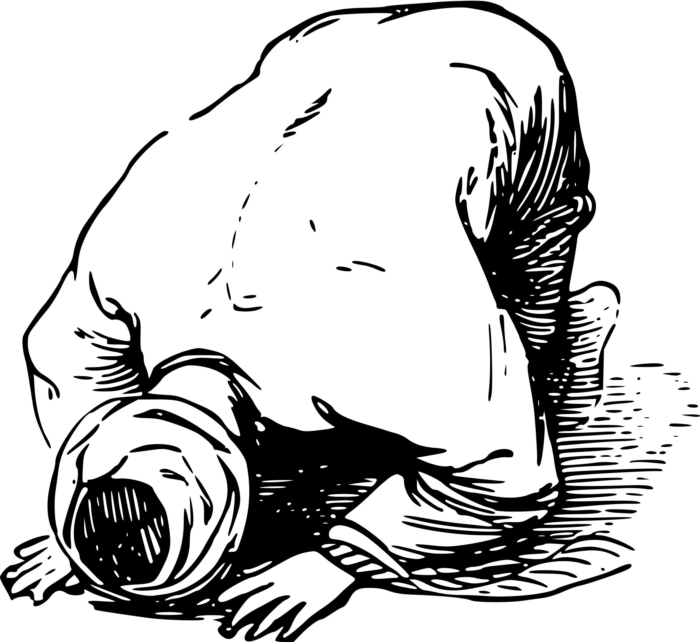 Moslem In Prayer Icons Png 2400x2200 Moslem In Prayer Icons Png