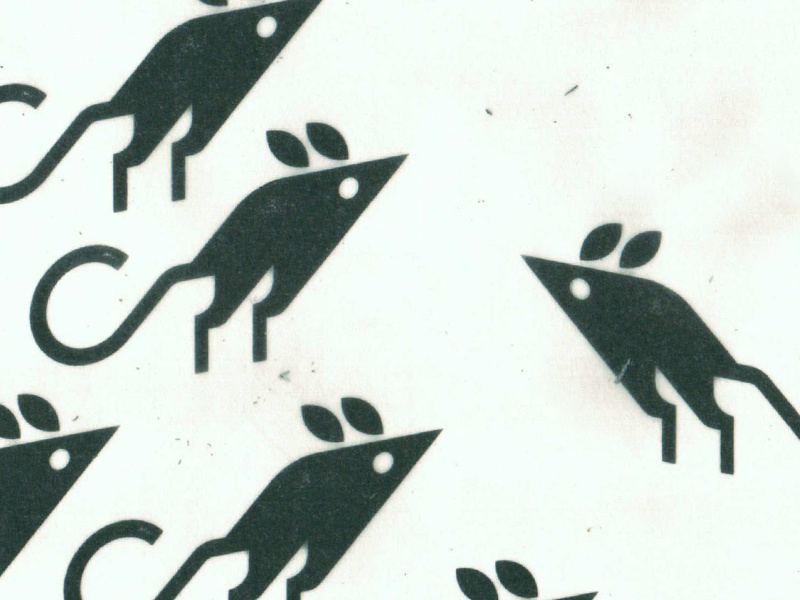 800x600 The Preacher