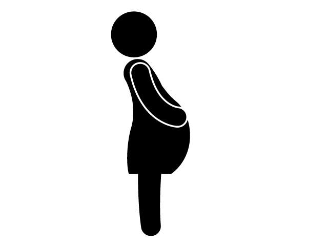 640x480 Pregnant Woman Icon