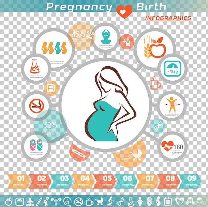 728x724 Pregnancy Infographic Woman Icon Png, Clipart, Cartoon Character