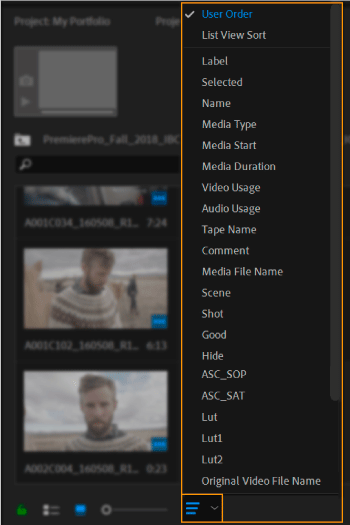 350x525 Working In The Project Panel