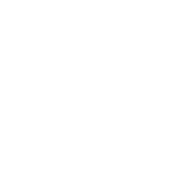 256x256 White Pressure Icon
