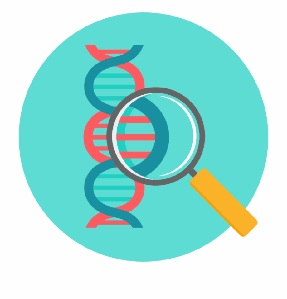 920x960 Previous Next Close