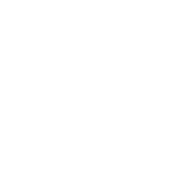 256x256 Free White Princess Leia Organa Icon