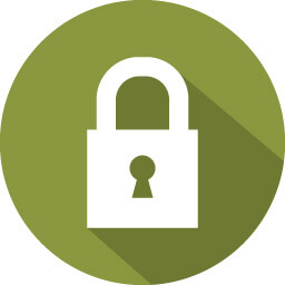 256x256 Privacy Icon