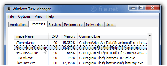 557x220 Privacyiconclient Exe Windows Process