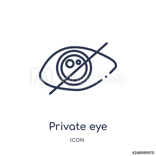 500x500 Private Eye Icon From Ultimate Glyphicons Outline Collection Thin