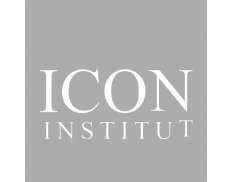 232x182 Icon Institut Private Sector Gmbh Consulting Organization