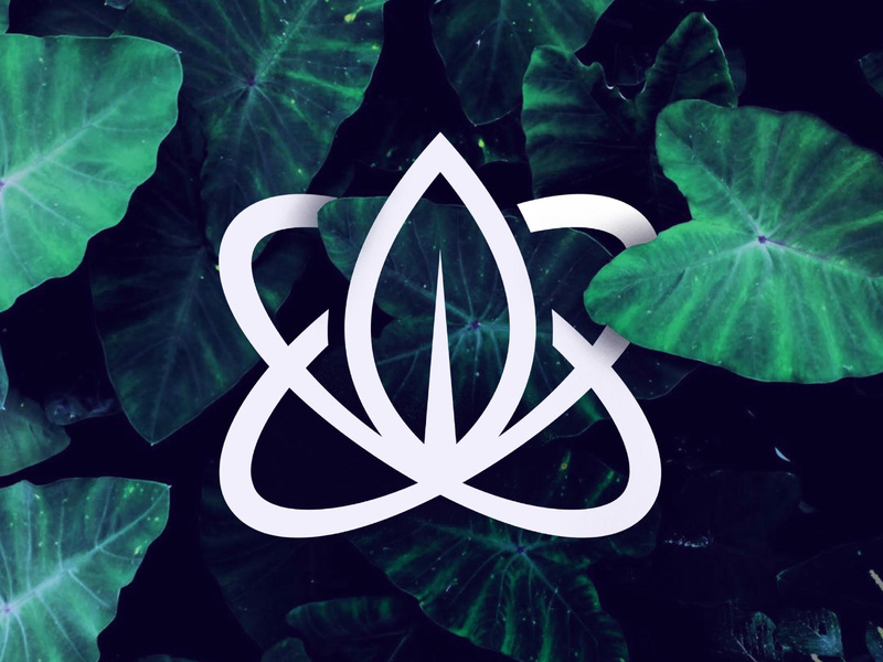 800x600 Nature's Prodigy