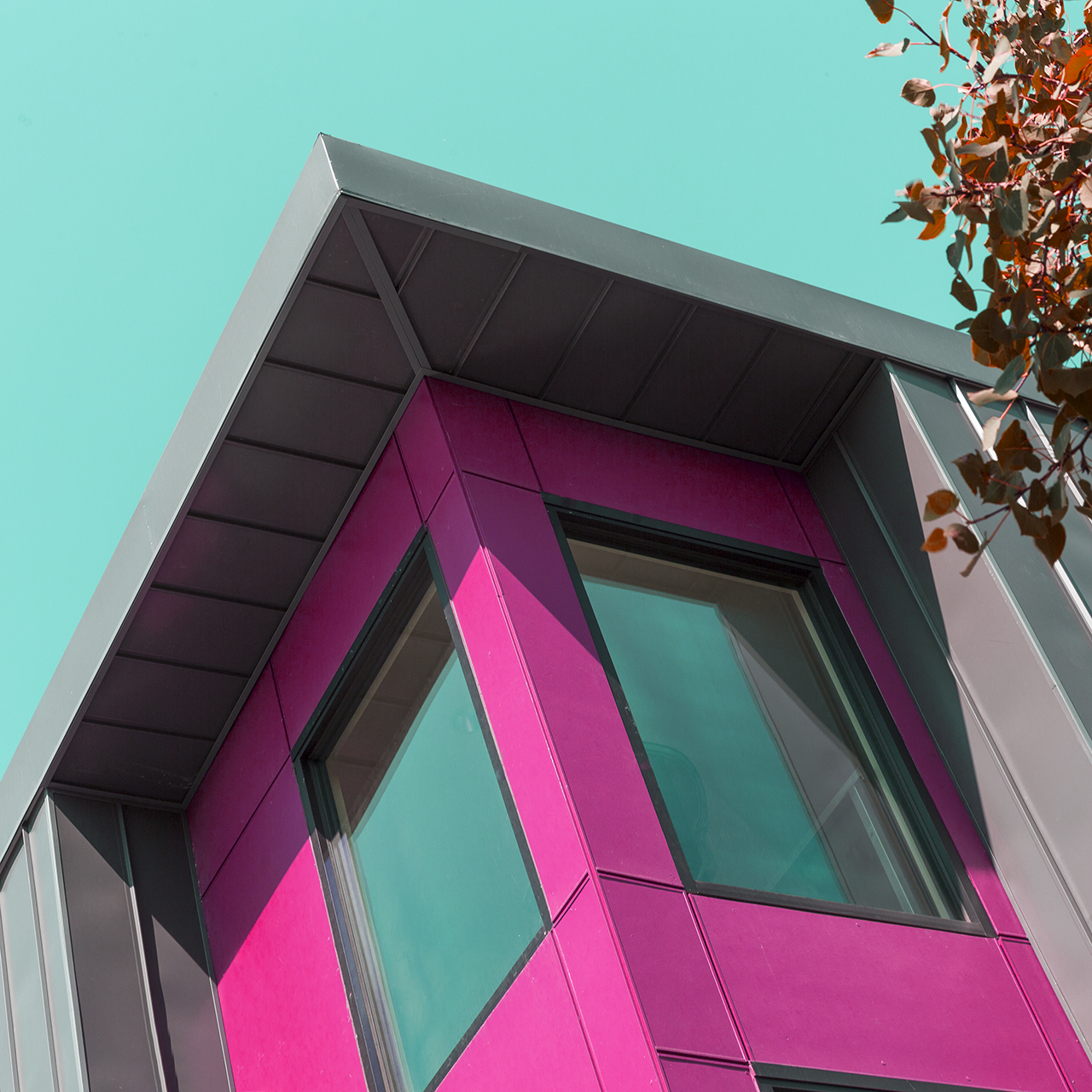 1280x1280 Prodigy Icon