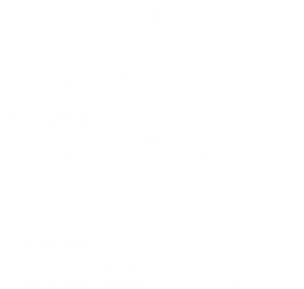 280x266 Download Professional Experience Icon