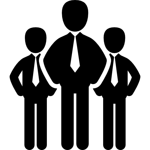 512x512 Professional Icon