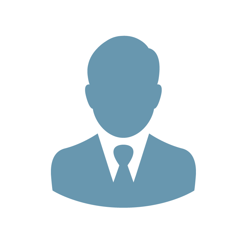 800x800 Professional Icon