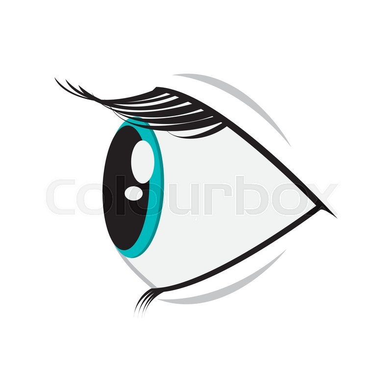 800x800 Flat Design Cartoon Eye Profile Icon Stock Vector Colourbox