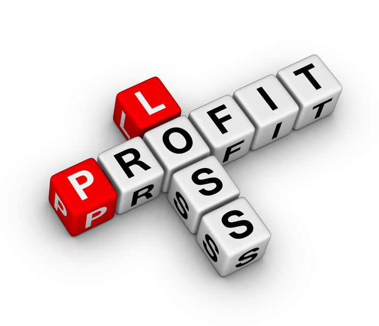 746x642 Month Profit And Loss Projection Score