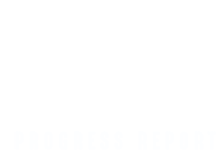 314x219 Progress Report Icon