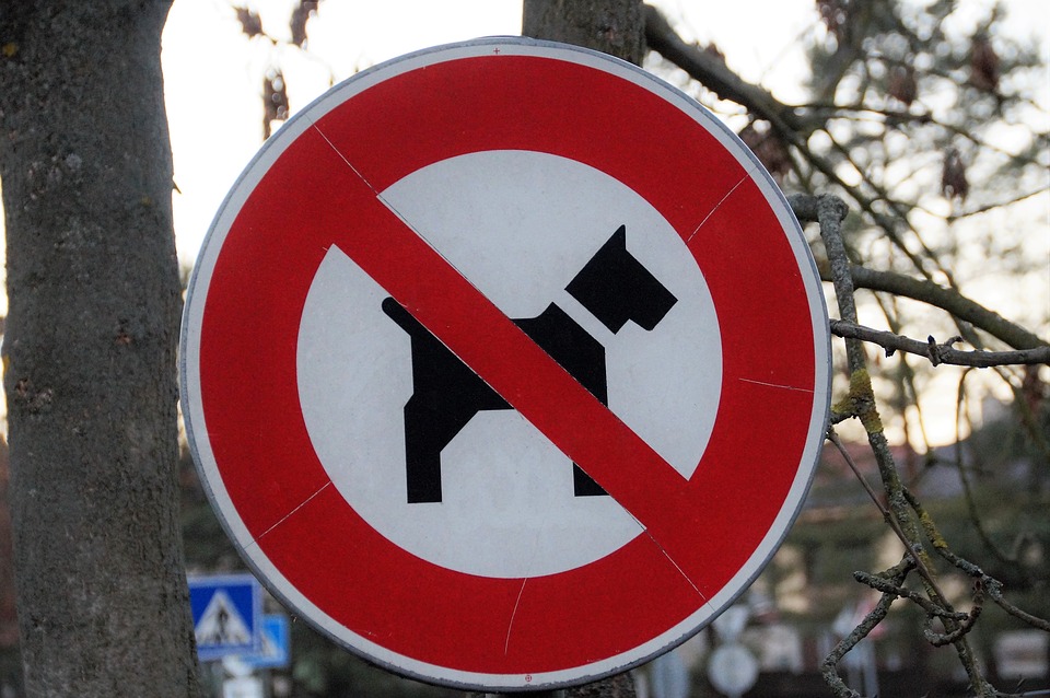 960x638 Free Photo Signs Prohibited Icon Dogs Input Brand Dog Ban