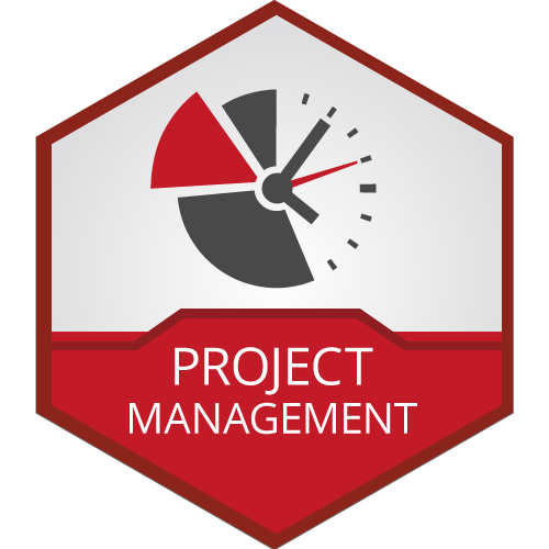 500x500 Project Management Icon T