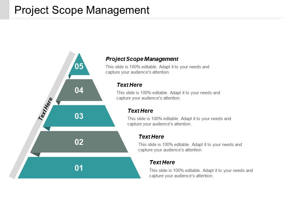 960x720 Project Scope Management Ppt Powerpoint Presentation Icon Designs