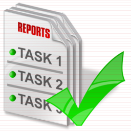 256x256 Project Report Icon Images