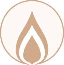 225x226 Propane Vfg Vision Financial Group, Inc