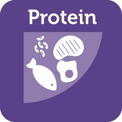 Protein Icon