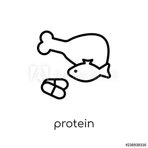 500x500 Proten Trendy Modern Flat Linear Vector Proten