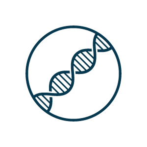 300x300 Chicken Proten Dogs Meow