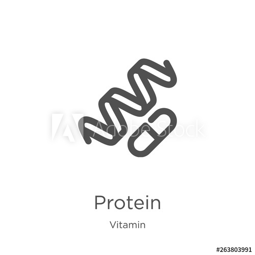 500x500 Proten Vector From Vitamin Collection Thin Line Protein