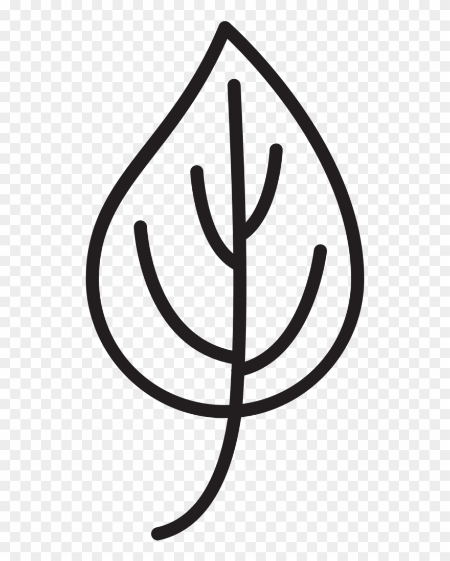 880x1097 Organic Barley And Hops Vegetable Protein