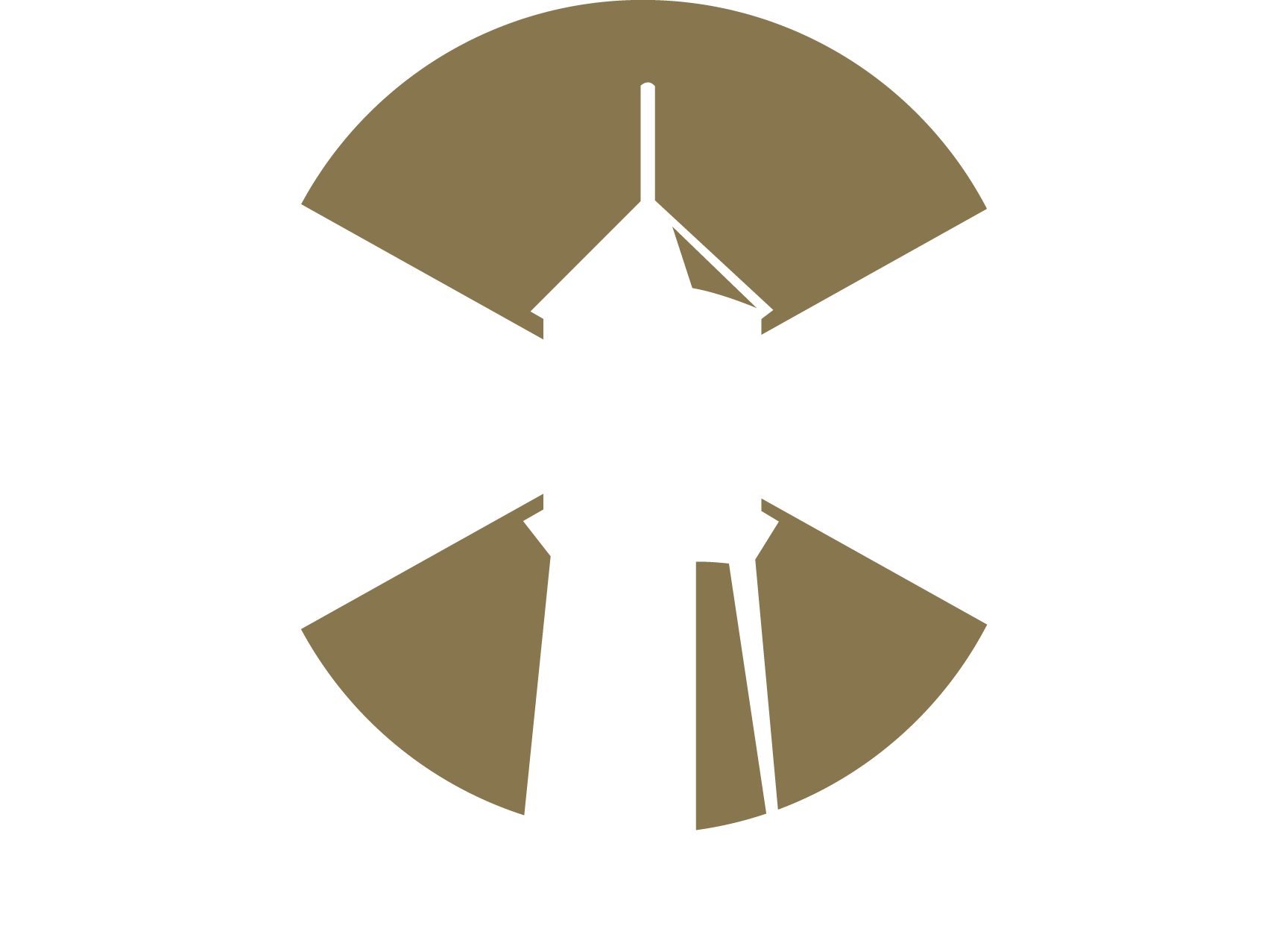 1728x1277 Onetone Front Page