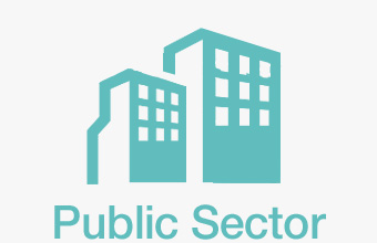 340x220 Public Sector Capacity Building Aampg Hildian Limited