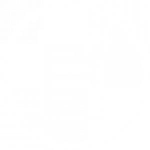 300x300 Publishing Icon The Writing Salon