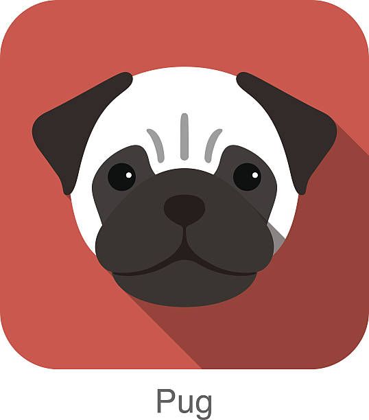 538x612 Pug, Dog Face Portrait Flat Icon Design Vector Art Illustration