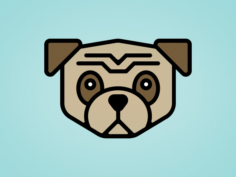 800x600 Pug Icon