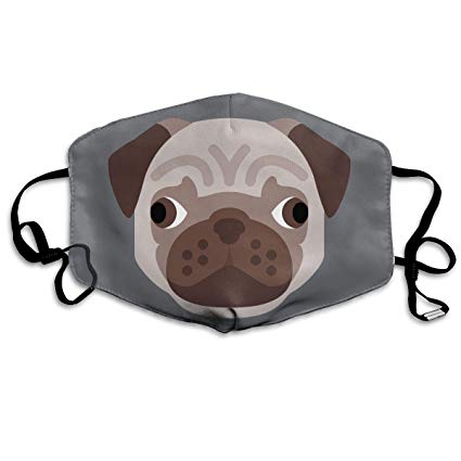 425x425 Syjtzmopre Pug Icon Mouth Mask Unisex Printed Fashion