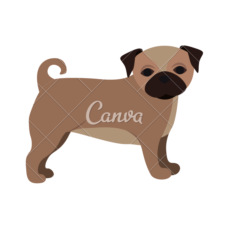 800x800 Cute Pug Icon