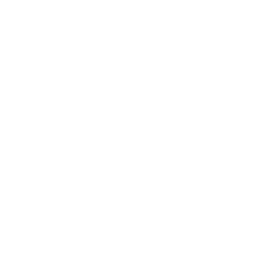 256x256 White Pulse Icon