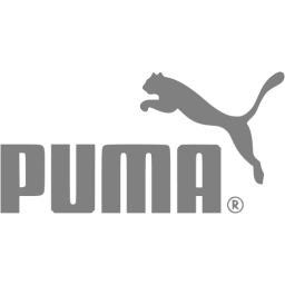 Gray Puma Icon 256x256 Gray Puma Icon