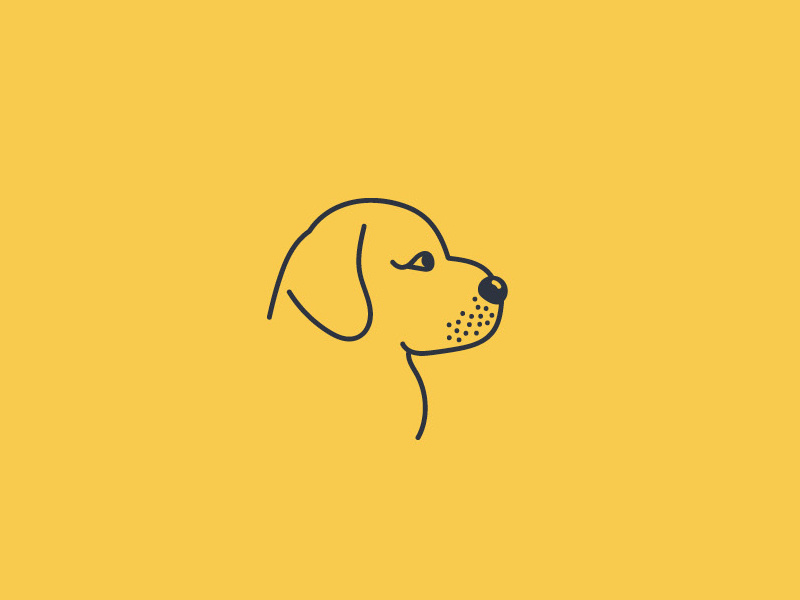 800x600 Puppy Icon