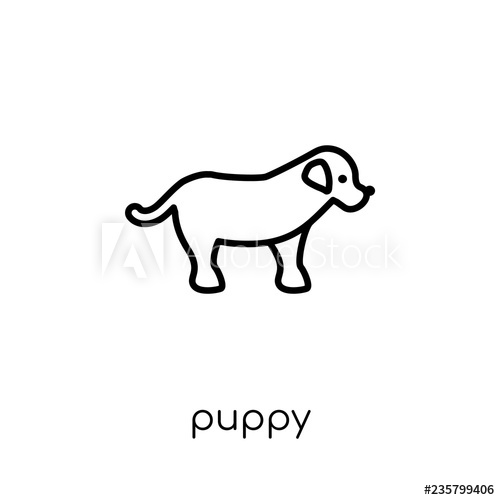 500x500 Puppy Icon Trendy Modern Flat Linear Vector Puppy Icon On White